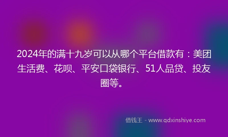 2024年的满十九岁可以从哪个平台借款有:美团生活费、花呗、平安口袋银行、51人品贷、投友圈等。