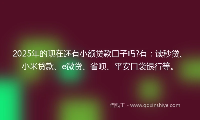 2025年的现在还有小额贷款口子吗?有：读秒贷、小米贷款、e微贷、省呗、平安口袋银行等。