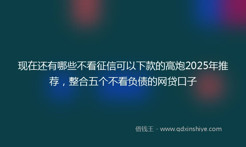 现在还有哪些不看征信可以下款的高炮2025年推荐，整合五个不看负债的网贷口子
