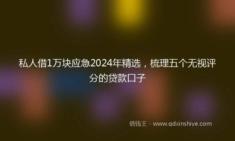 私人借1万块应急2024年精选，梳理五个无视评分的贷款口子
