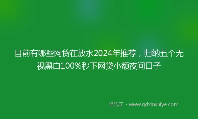目前有哪些网贷在放水2024年推荐，归纳五个无视黑白100%秒下网贷小额夜间口子