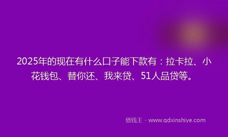 2025年的现在有什么口子能下款有：拉卡拉、小花钱包、替你还、我来贷、51人品贷等。