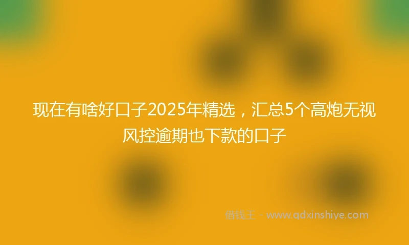 现在有啥好口子2025年精选，汇总5个高炮无视风控逾期也下款的口子