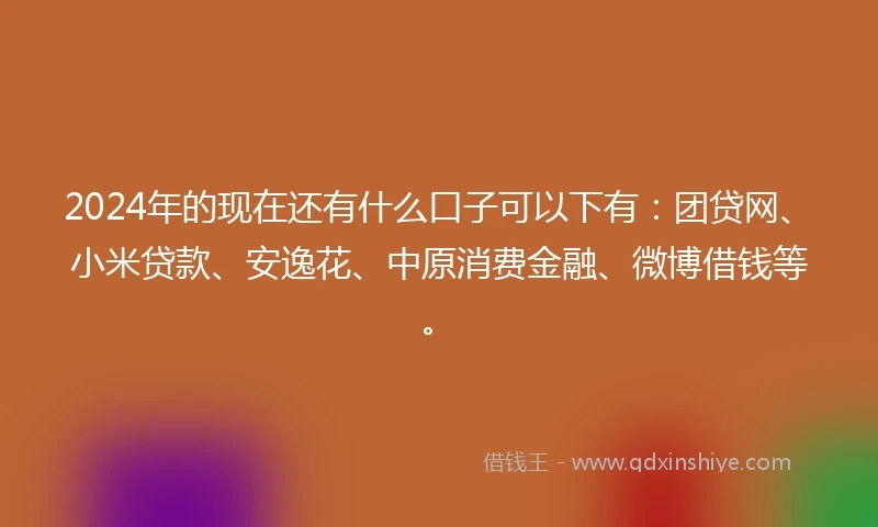 2024年的现在还有什么口子可以下有：团贷网、小米贷款、安逸花、中原消费金融、微博借钱等。