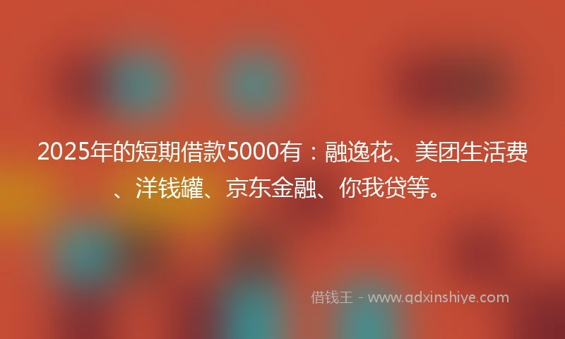2025年的短期借款5000有：融逸花、美团生活费、洋钱罐、京东金融、你我贷等。