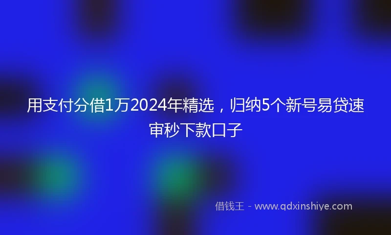 用支付分借1万2024年精选，归纳5个新号易贷速审秒下款口子