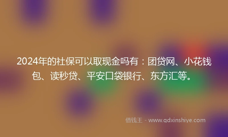 2024年的社保可以取现金吗有：团贷网、小花钱包、读秒贷、平安口袋银行、东方汇等。