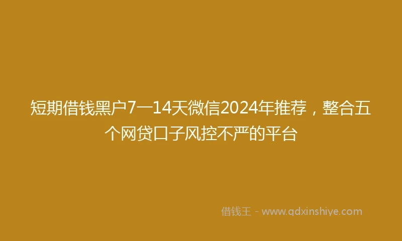 短期借钱黑户7一14天微信2024年推荐，整合五个网贷口子风控不严的平台