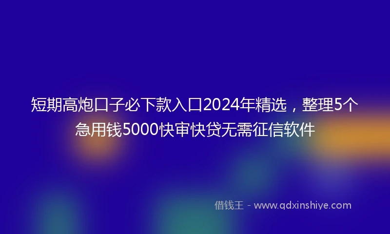 短期高炮口子必下款入口2024年精选，整理5个急用钱5000快审快贷无需征信软件