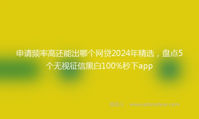 申请频率高还能出哪个网贷2024年精选,盘点5个无视征信黑白100%秒下app