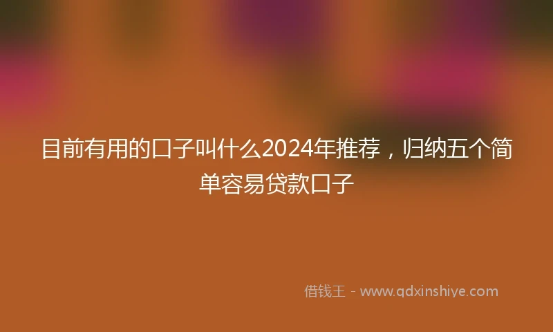 目前有用的口子叫什么2024年推荐，归纳五个简单容易贷款口子