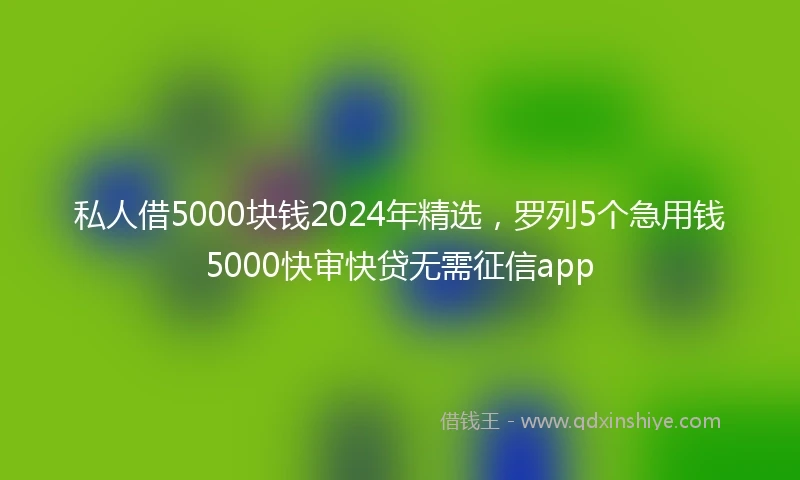 私人借5000块钱2024年精选，罗列5个急用钱5000快审快贷无需征信app