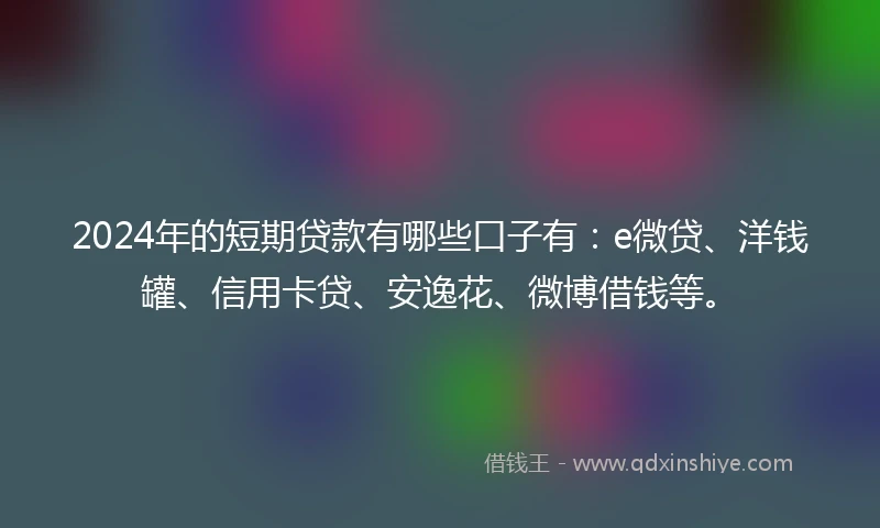 2024年的短期贷款有哪些口子有：e微贷、洋钱罐、信用卡贷、安逸花、微博借钱等。