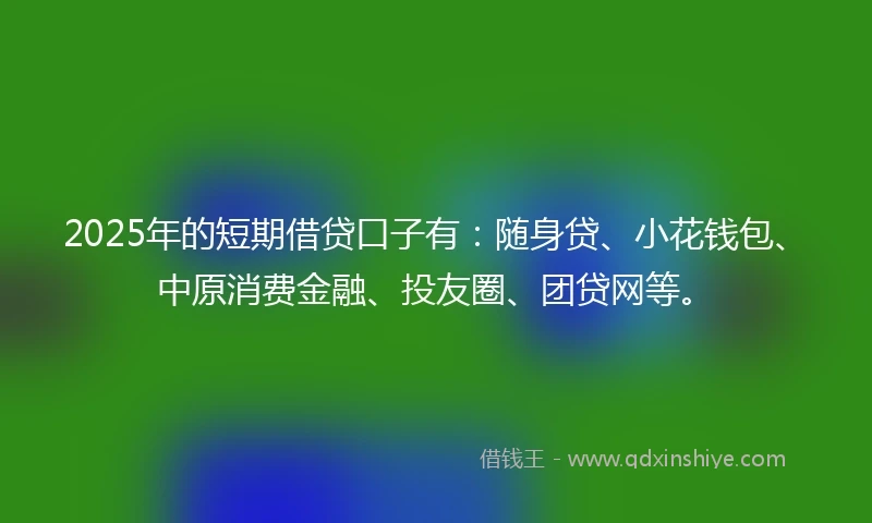 2025年的短期借贷口子有：随身贷、小花钱包、中原消费金融、投友圈、团贷网等。