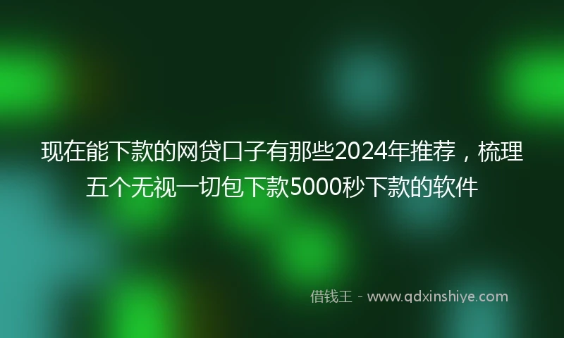 现在能下款的网贷口子有那些2024年推荐，梳理五个无视一切包下款5000秒下款的软件