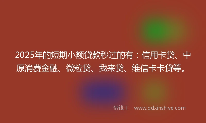 2025年的短期小额贷款秒过的有：信用卡贷、中原消费金融、微粒贷、我来贷、维信卡卡贷等。