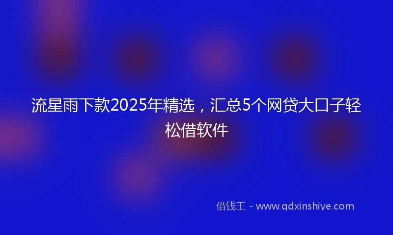 流星雨下款2025年精选，汇总5个网贷大口子轻松借软件