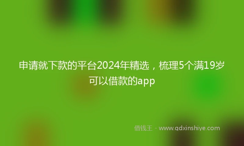 申请就下款的平台2024年精选，梳理5个满19岁可以借款的app