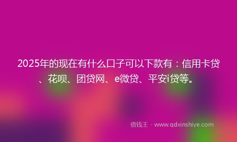 2025年的现在有什么口子可以下款有：信用卡贷、花呗、团贷网、e微贷、平安i贷等。
