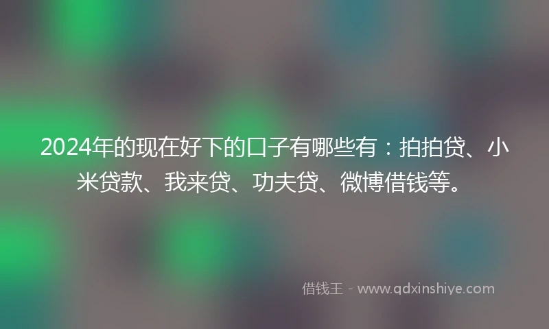 2024年的现在好下的口子有哪些有：拍拍贷、小米贷款、我来贷、功夫贷、微博借钱等。