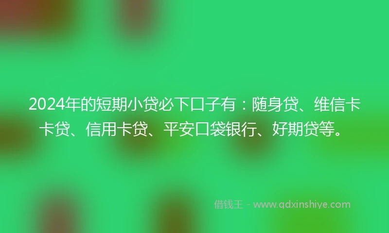 2024年的短期小贷必下口子有：随身贷、维信卡卡贷、信用卡贷、平安口袋银行、好期贷等。