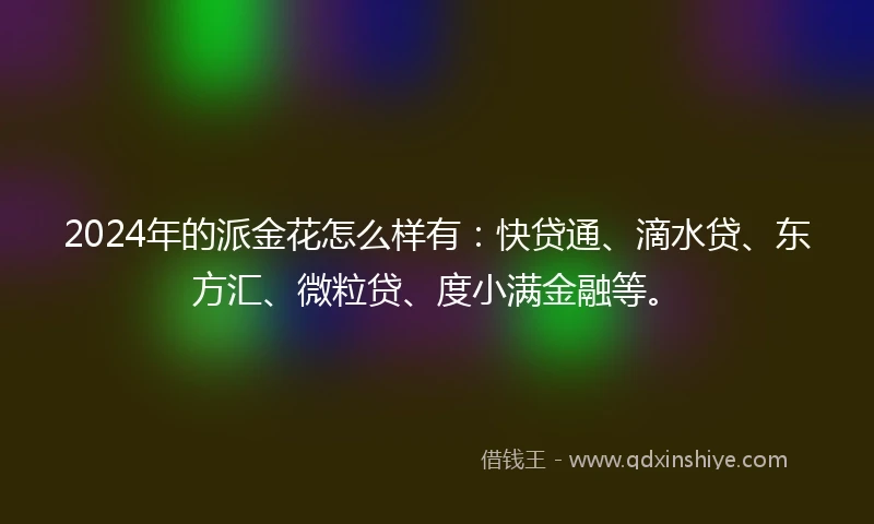 2024年的派金花怎么样有：快贷通、滴水贷、东方汇、微粒贷、度小满金融等。