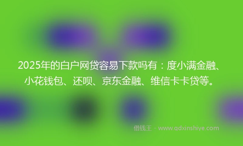2025年的白户网贷容易下款吗有：度小满金融、小花钱包、还呗、京东金融、维信卡卡贷等。