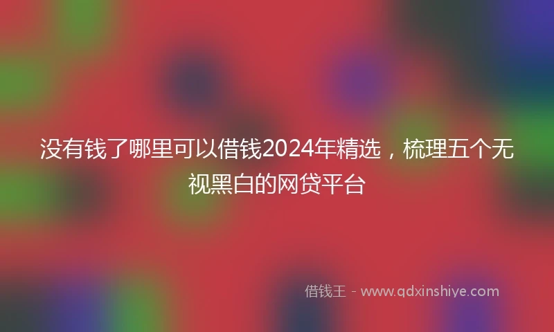 没有钱了哪里可以借钱2024年精选，梳理五个无视黑白的网贷平台