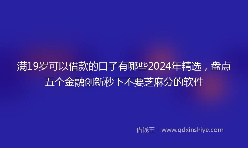 满19岁可以借款的口子有哪些2024年精选，盘点五个金融创新秒下不要芝麻分的软件