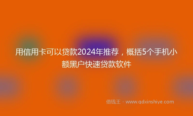 用信用卡可以贷款2024年推荐，概括5个手机小额黑户快速贷款软件