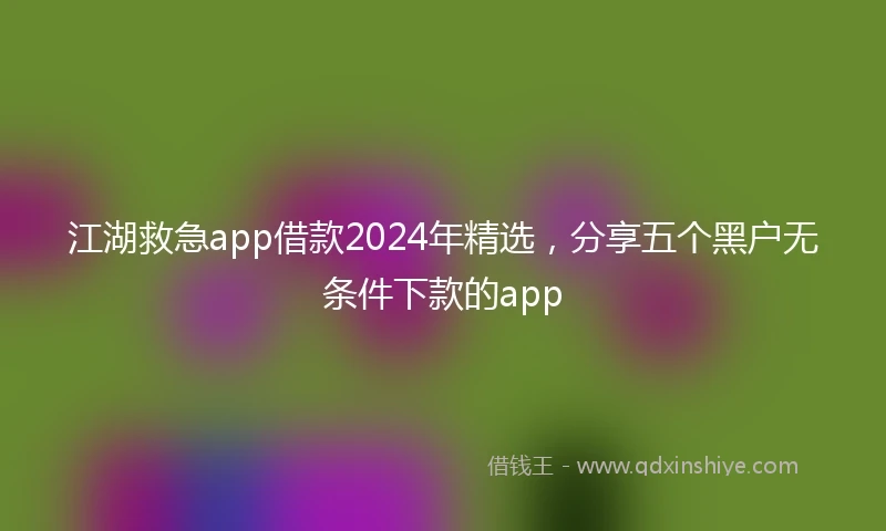 江湖救急app借款2024年精选，分享五个黑户无条件下款的app