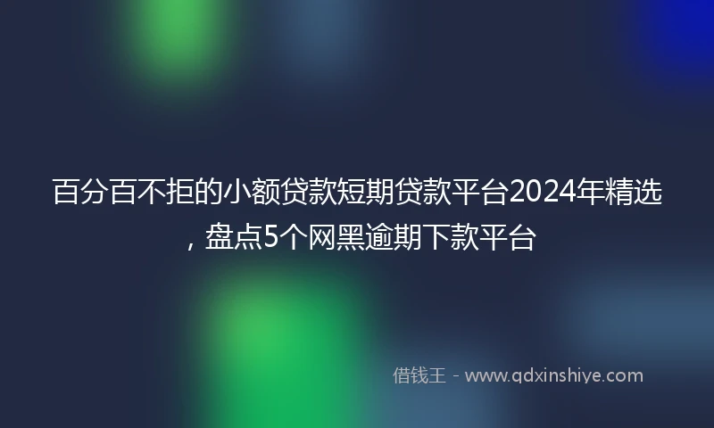 百分百不拒的小额贷款短期贷款平台2024年精选，盘点5个网黑逾期下款平台