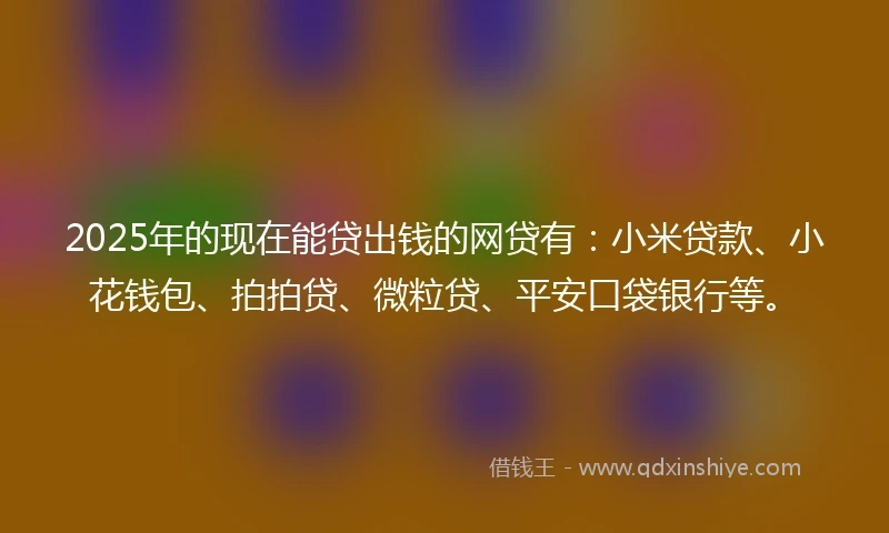 2025年的现在能贷出钱的网贷有：小米贷款、小花钱包、拍拍贷、微粒贷、平安口袋银行等。