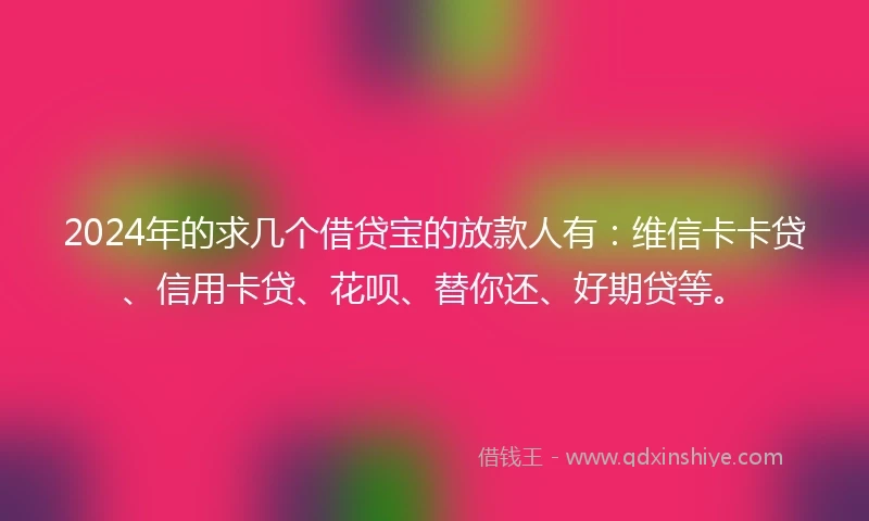 2024年的求几个借贷宝的放款人有：维信卡卡贷、信用卡贷、花呗、替你还、好期贷等。