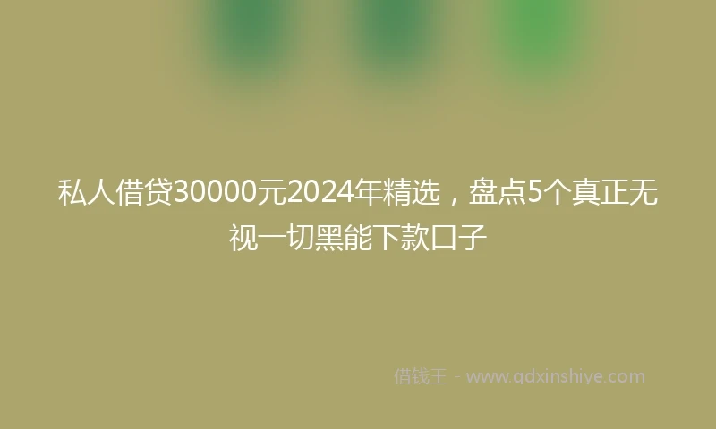 私人借贷30000元2024年精选，盘点5个真正无视一切黑能下款口子