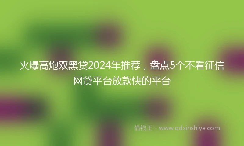 火爆高炮双黑贷2024年推荐，盘点5个不看征信网贷平台放款快的平台