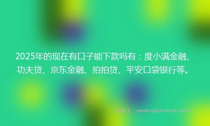 2025年的现在有口子能下款吗有：度小满金融、功夫贷、京东金融、拍拍贷、平安口袋银行等。