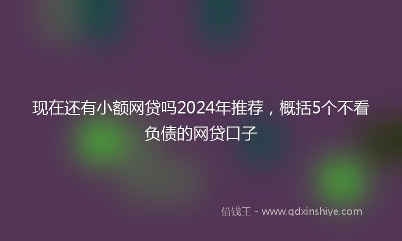 现在还有小额网贷吗2024年推荐，概括5个不看负债的网贷口子