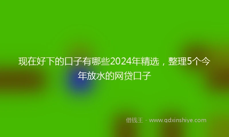 现在好下的口子有哪些2024年精选,整理5个今年放水的网贷口子