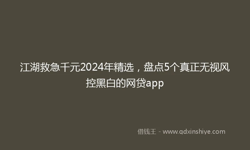江湖救急千元2024年精选，盘点5个真正无视风控黑白的网贷app