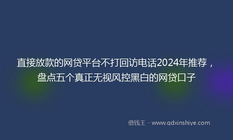 直接放款的网贷平台不打回访电话2024年推荐，盘点五个真正无视风控黑白的网贷口子