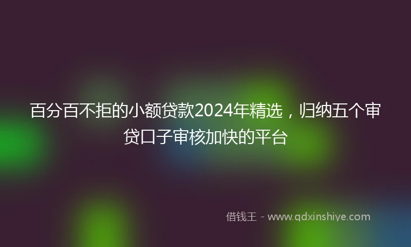 百分百不拒的小额贷款2024年精选，归纳五个审贷口子审核加快的平台