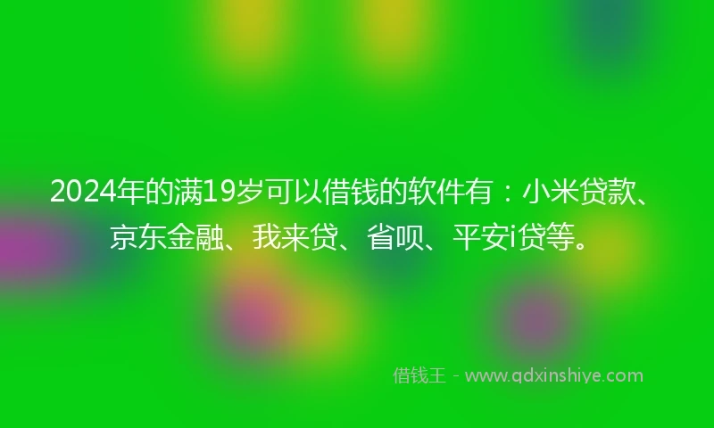 2024年的满19岁可以借钱的软件有：小米贷款、京东金融、我来贷、省呗、平安i贷等。