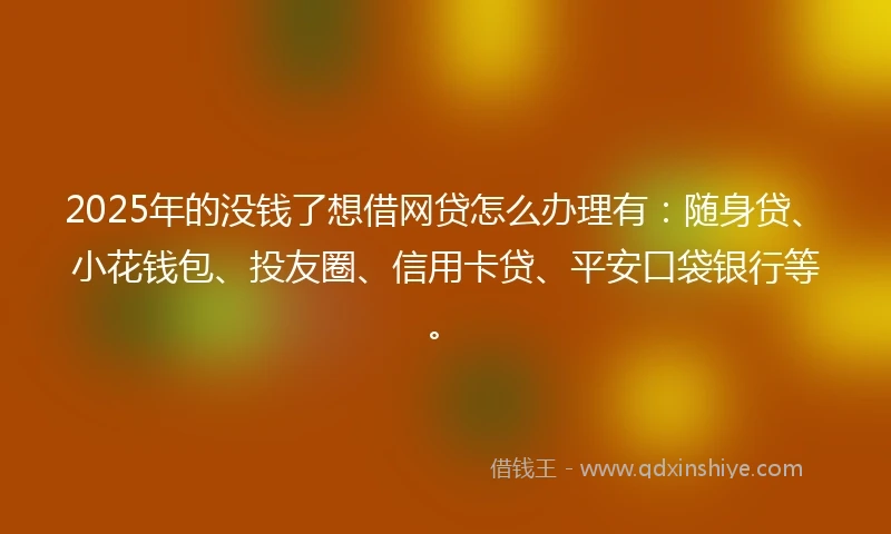 2025年的没钱了想借网贷怎么办理有：随身贷、小花钱包、投友圈、信用卡贷、平安口袋银行等。