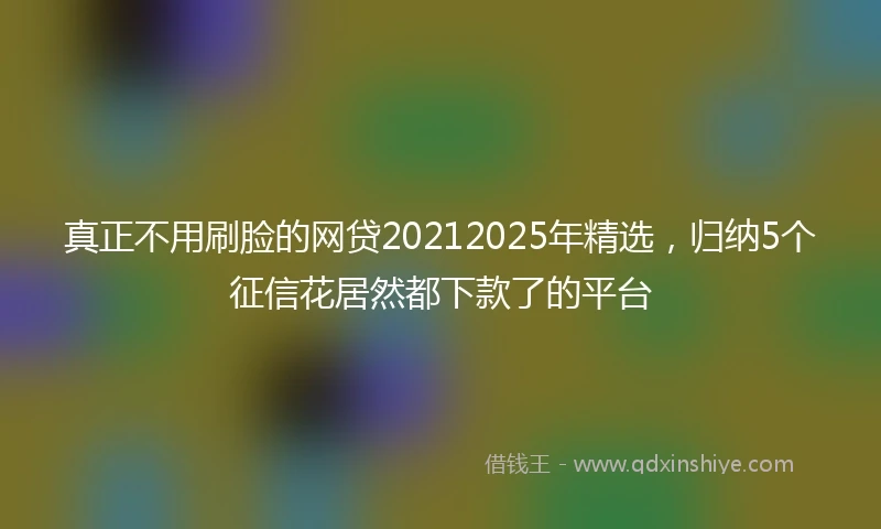 真正不用刷脸的网贷20212025年精选，归纳5个征信花居然都下款了的平台