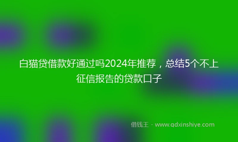 白猫贷借款好通过吗2024年推荐，总结5个不上征信报告的贷款口子