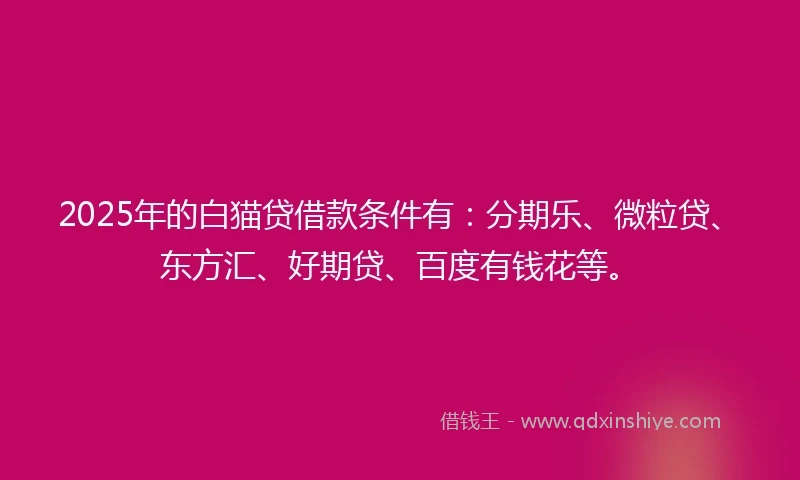 2025年的白猫贷借款条件有：分期乐、微粒贷、东方汇、好期贷、百度有钱花等。