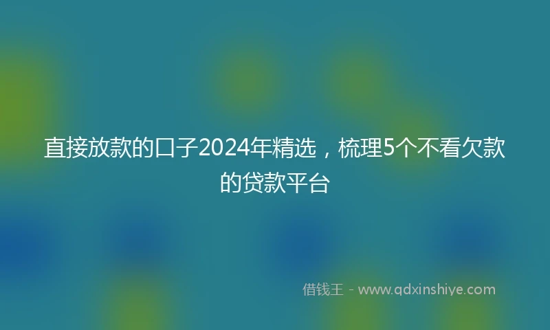 直接放款的口子2024年精选，梳理5个不看欠款的贷款平台