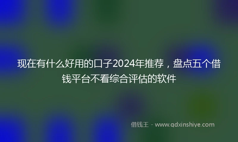 现在有什么好用的口子2024年推荐，盘点五个借钱平台不看综合评估的软件