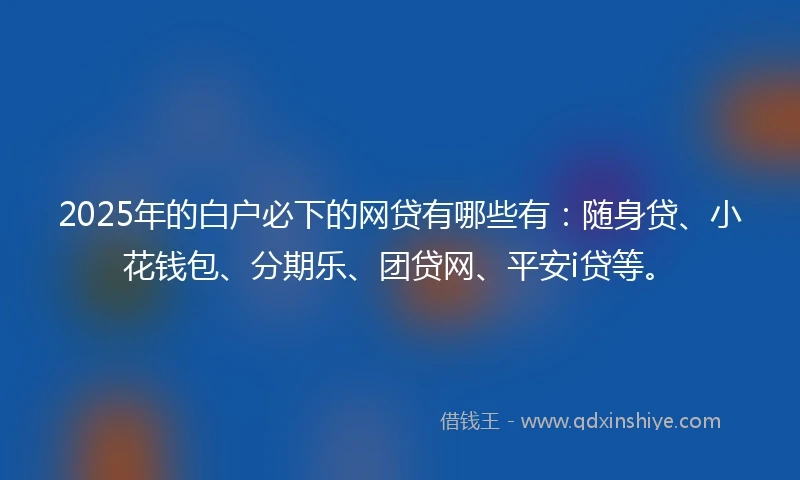 2025年的白户必下的网贷有哪些有：随身贷、小花钱包、分期乐、团贷网、平安i贷等。